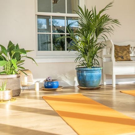 Norfolk Farmhouse Retreat Yoga Room